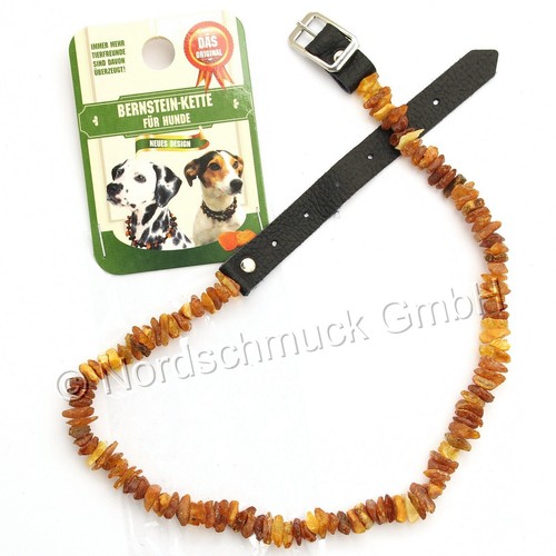 Bernsteinkette hund bernstein - bernsteinkette,