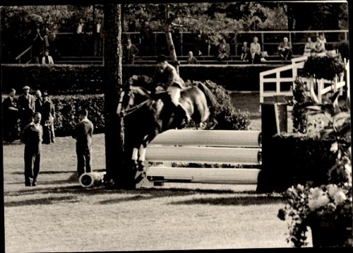 Foto springreiten sprung - foto, springreiten,