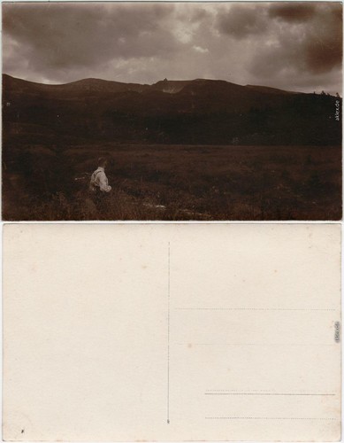 Privatfotokarte schreiberhau - privatfotokarte,