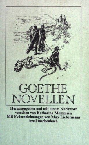 Novellenn insel taschenbuch - insel,