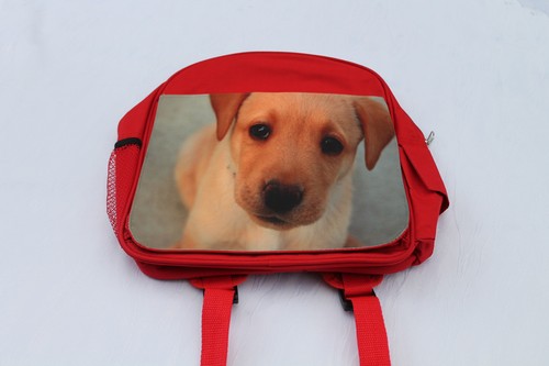 Rucksack kindergartentasche - rucksack,