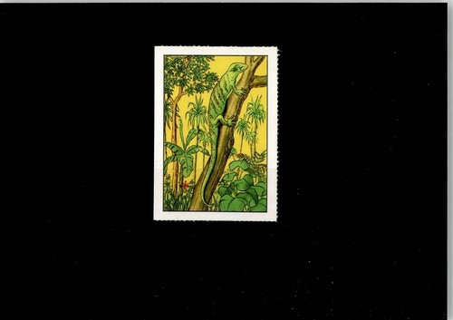 52004045 exotisches tier - exotisches,