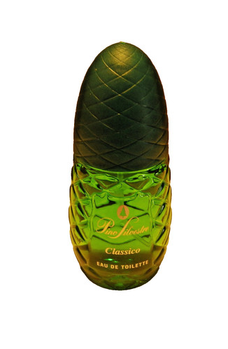 Pino silvestre classico - ,