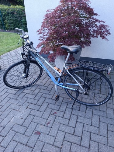 Pegasus solero alu - solero,