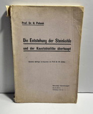 Die Entstehung der Steinkohle