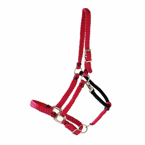 Showhalfter halfter - showhalfter,