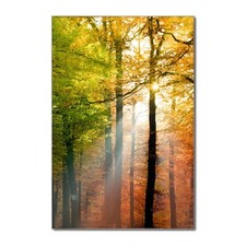 Banjado Design Glasmagnettafel mit Magneten Memoboard beschreibbar Herbstwald