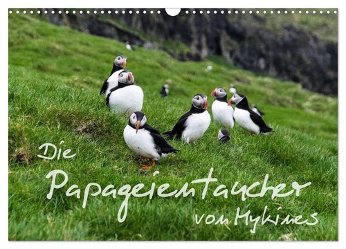 Die papageientaucher von - die,