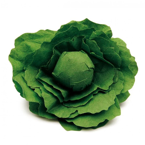 Erzi großer blattsalat aus - erzi,
