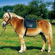 Excelsior Reitsattel