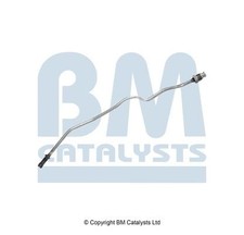 BM CATALYSTS DRUCKLEITUNG