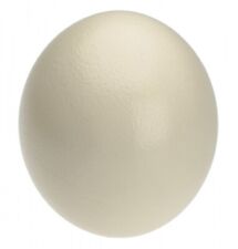 NaDeco Straußenei natur 2 Stück 1A Qualität Straussenei Straußeneier Osterdekora