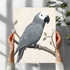 Graupapagei Vogel Premium