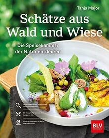 Schätze aus wald und - wald, wiese