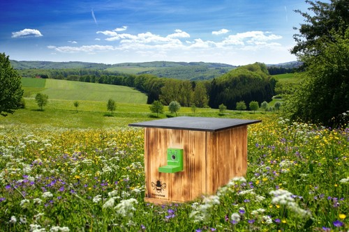 Hummelkasten hummelhaus - hummelkasten,