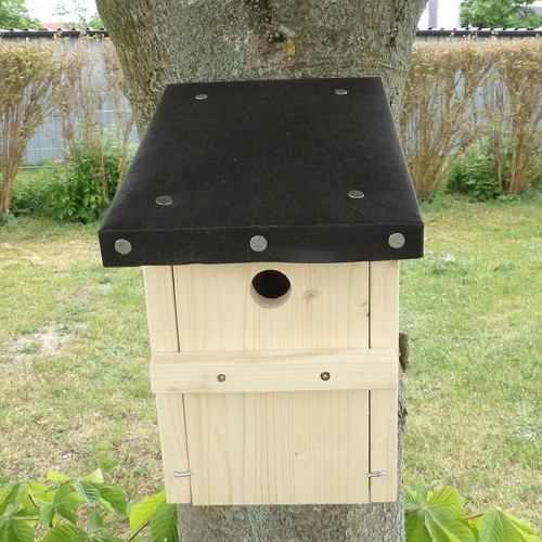 Nistkasten vogelhaus vögel - vogelhaus,