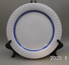 Porzellan Kuchenteller Serie Lanzette Platinrand/Blauband von Thomas