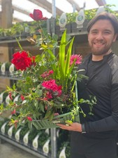 Pflanzen-Abo-Box - monatlich