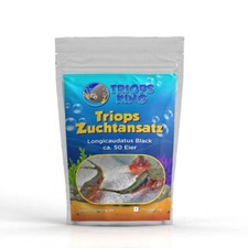 Triops Longicaudatus Black