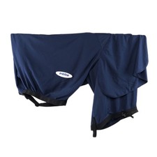 Busse Everline Pferde