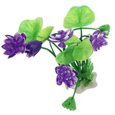 Aquariumpflanze Aquarium Lotus