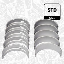 Kurbelwellenlager STD für