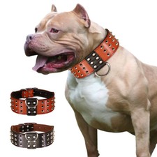 5cm breit hundehalsband - 5cm,