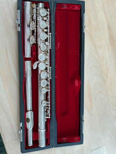 Gepflegte pearl flöte - gepflegte,