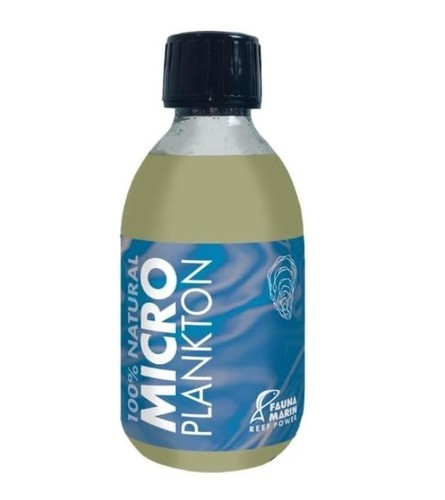 Fauna marin micro plankton - micro,