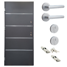 Ausstellungstür #SG08 Nebeneingangstür Alu-Stahl Tür ATU56 DIN Links 96x218cm