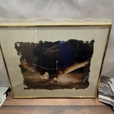 Schwan Wandbild Goldrahmen ca