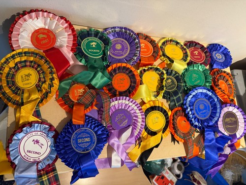 Vintage scottish 90s horse - vintage,