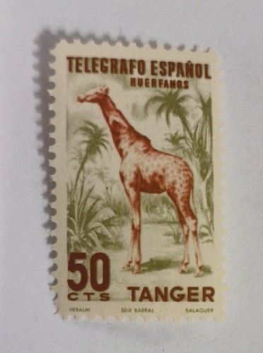 Spanien marokko tanger - spanien,
