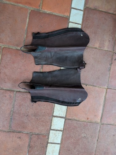 Ariat close contour show chaps - ariat,