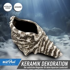 🐚 Terrarium Keramik Deko