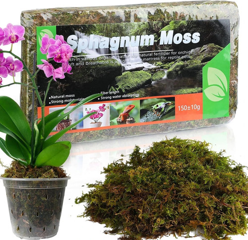 Sphagnum moos für pflanzen - für,