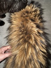 Echter Waschbärfell-Kragen