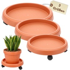 Pflanzenroller Rund Rollbrett