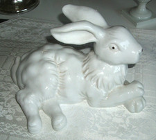 weißer Hase / Kaninchen