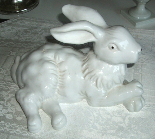 Weißer hase kaninchen - weißer, /