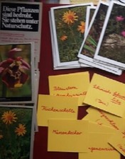 Bedrohte Pflanzen Sachkunde Montessori Freiarbeit Differenzierung GS 3/4