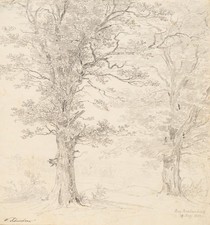 W. SCHEUCHZER (*1803), Baumstudie bei Brannenburg,  1832, Bleistift Romantik