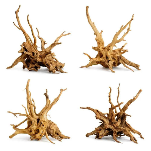 Rote moorwurzel spiderwood - moorwurzel,