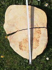 Holzscheibe Astscheibe Baumscheibe - Eiche - Basteln - Deko