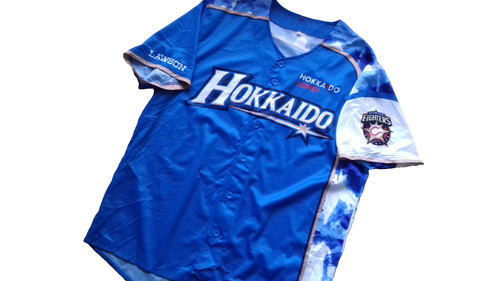Hokkaido nipponham fighters - hokkaido,