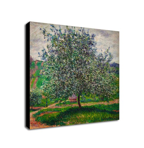 Der apfelbaum von - der, monet