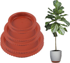 6 Stück Blumentopf
