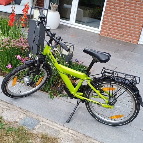 Pegasus avanti kid - pegasus,