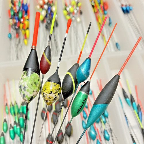 Stipp friedfisch posen - &,