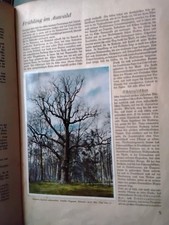 ZIGARETTENBILDER  Alben